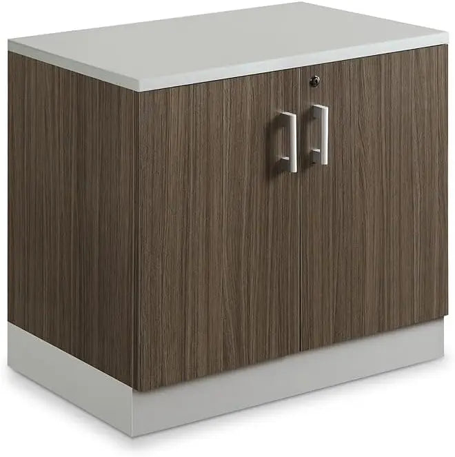 29.4 "H double door storage cabinet with lockable door, two adjustable shelves, silver laminated skirting board and hardware