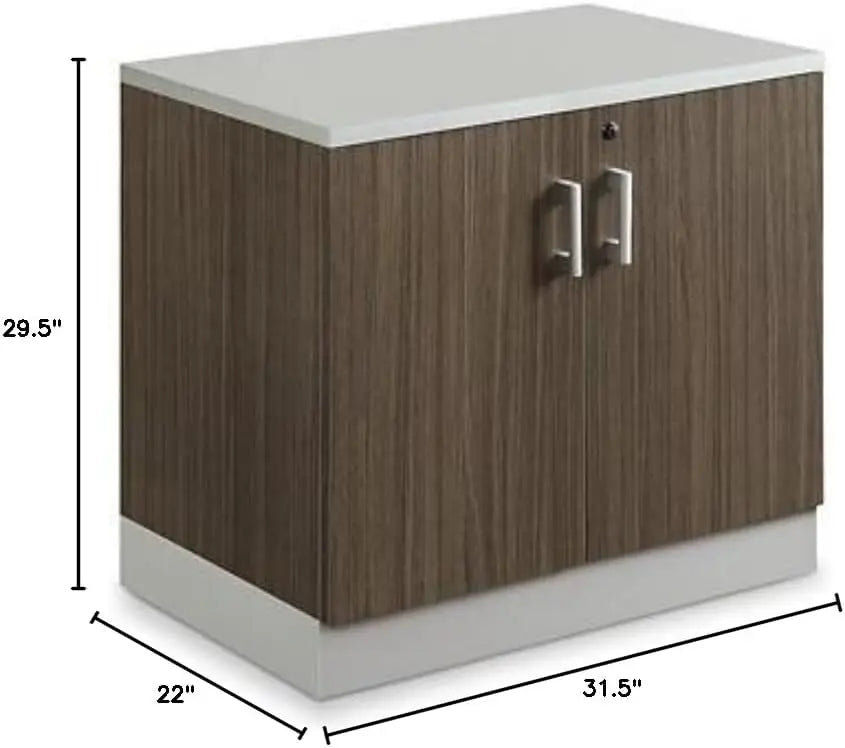 29.4 "H double door storage cabinet with lockable door, two adjustable shelves, silver laminated skirting board and hardware