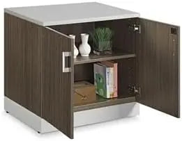 29.4 "H double door storage cabinet with lockable door, two adjustable shelves, silver laminated skirting board and hardware
