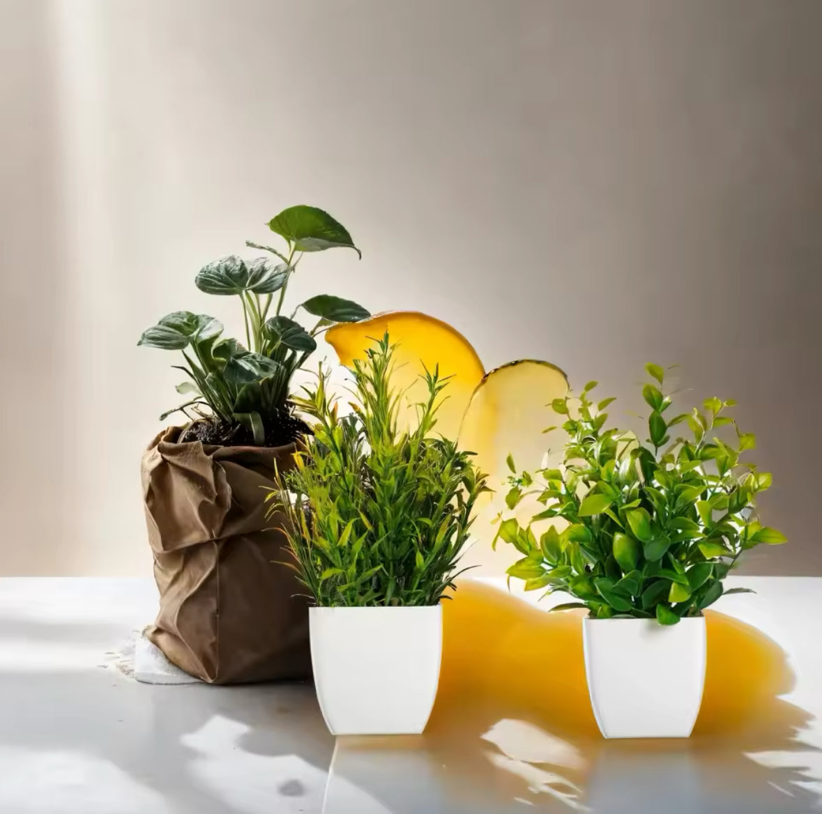 Artificial Plant Tree Window Sill Office Table Desktop Decoration Plastic Garden Fake Plant Potted Home Decor Potted Ornaments