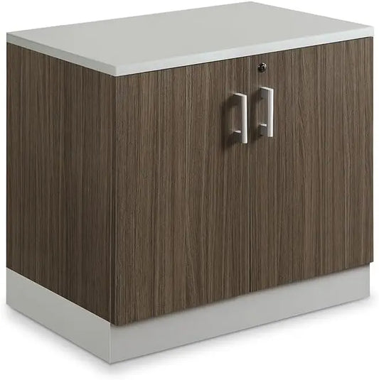 29.4 "H double door storage cabinet with lockable door, two adjustable shelves, silver laminated skirting board and hardware