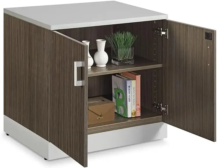 29.4 "H double door storage cabinet with lockable door, two adjustable shelves, silver laminated skirting board and hardware
